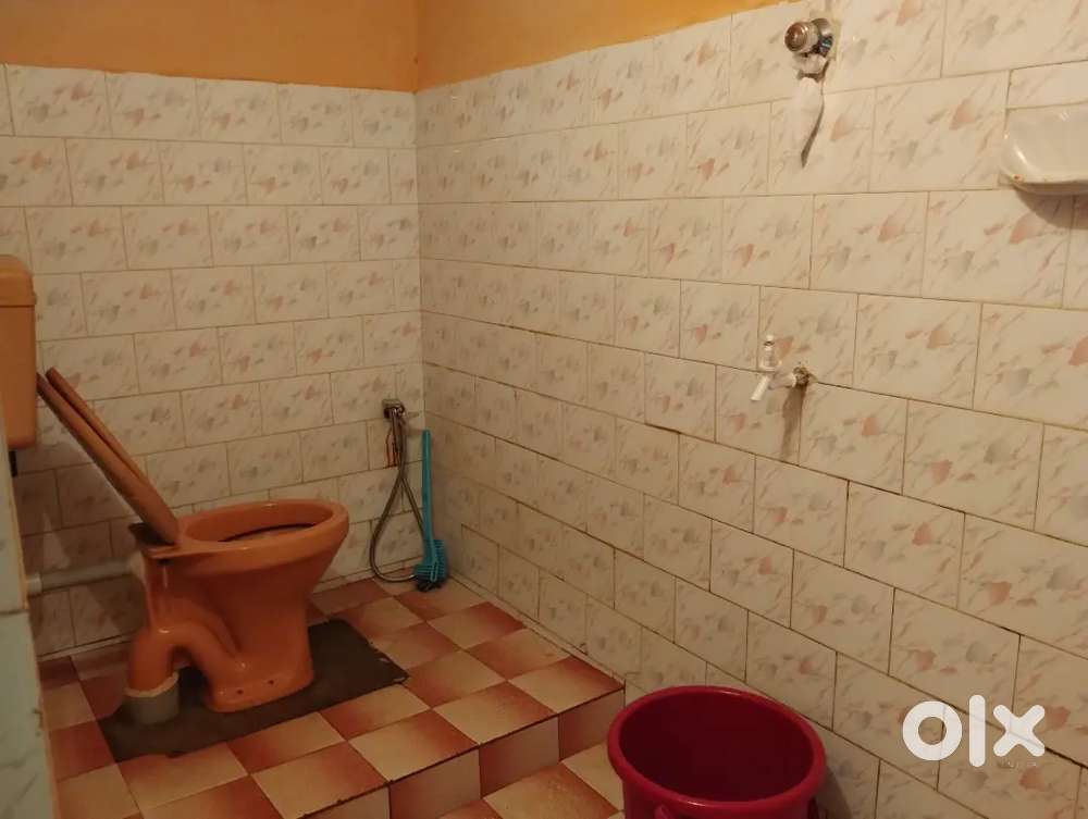 1 BHK apartment for rent in Mandopa Navelim