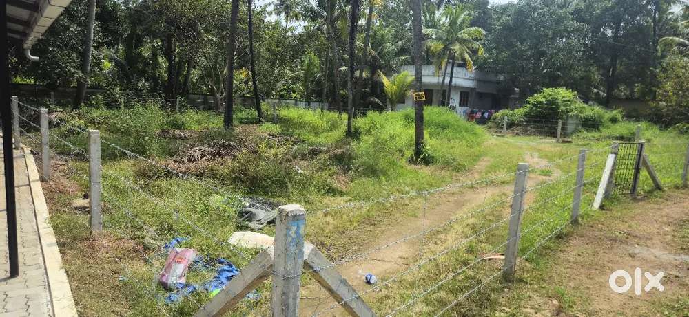 11.300 Cent Plot for sale