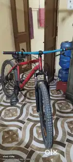 Bishal cycle