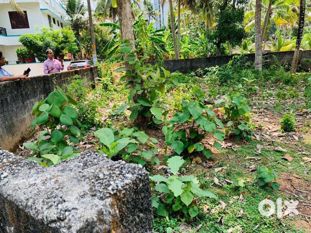 8 Cents of Residential Plot for Sale at Nalanchira, Trivandrum