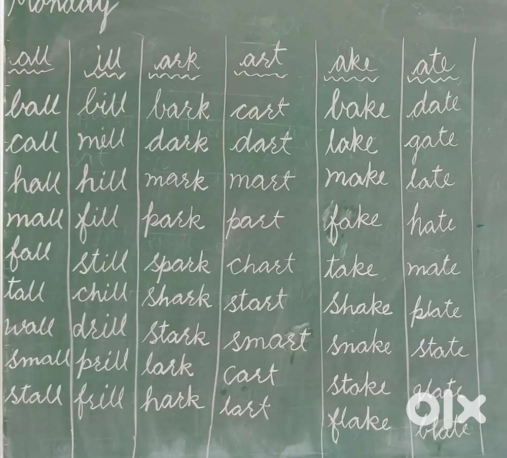 Primary school teacher