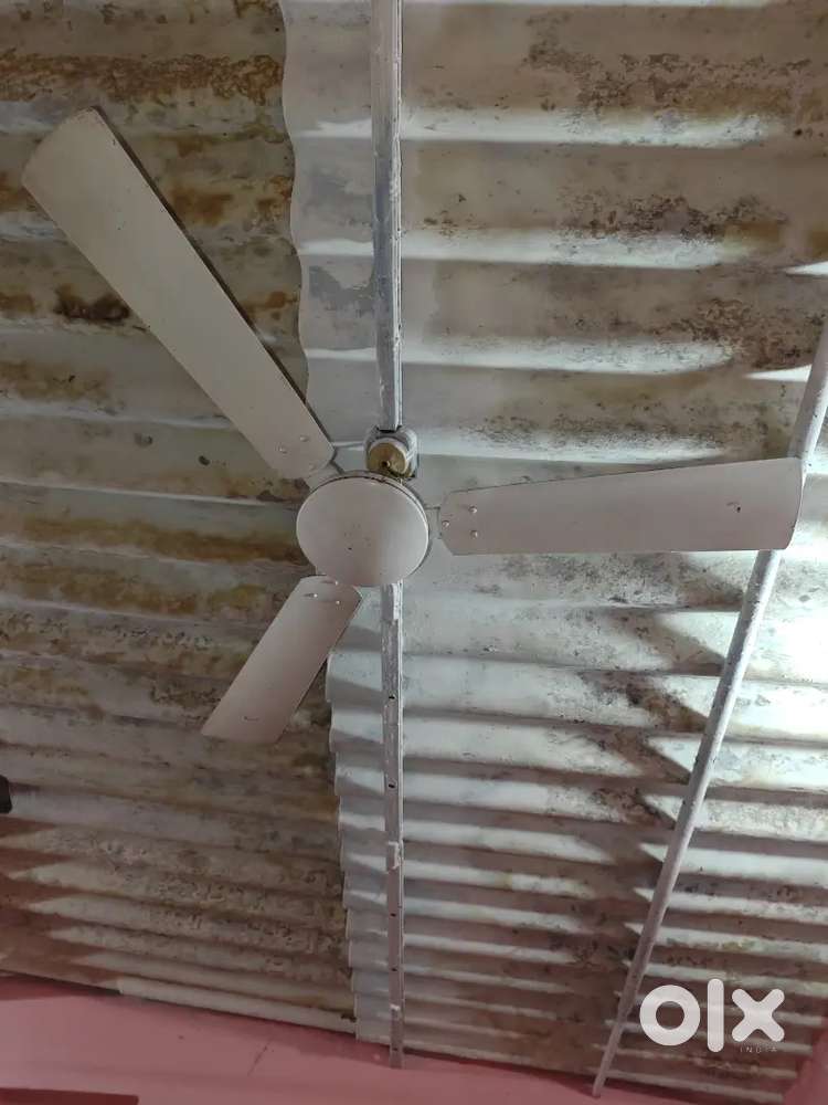Ceiling fan