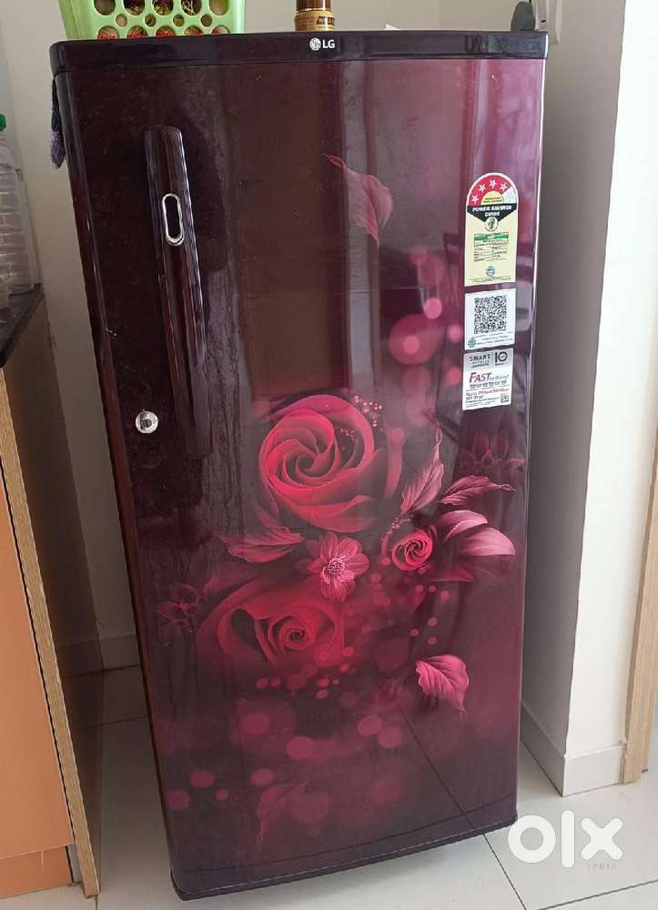 Lg 185L single door fridge (9mo old)