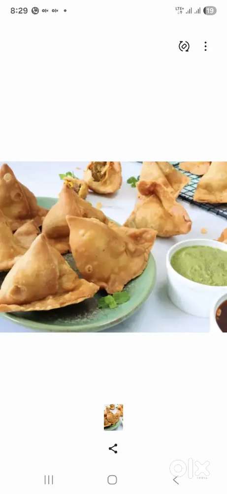 Samosa kachori chat master