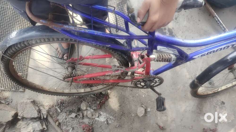 Cycle are 3 years old