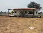 AT SADASIVPET DTCP APVED OPEN PLOTS FOR SALE ON MUMBAI HIGH-WAY VENTUR