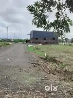 Non NA plot