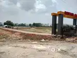 Resale plot