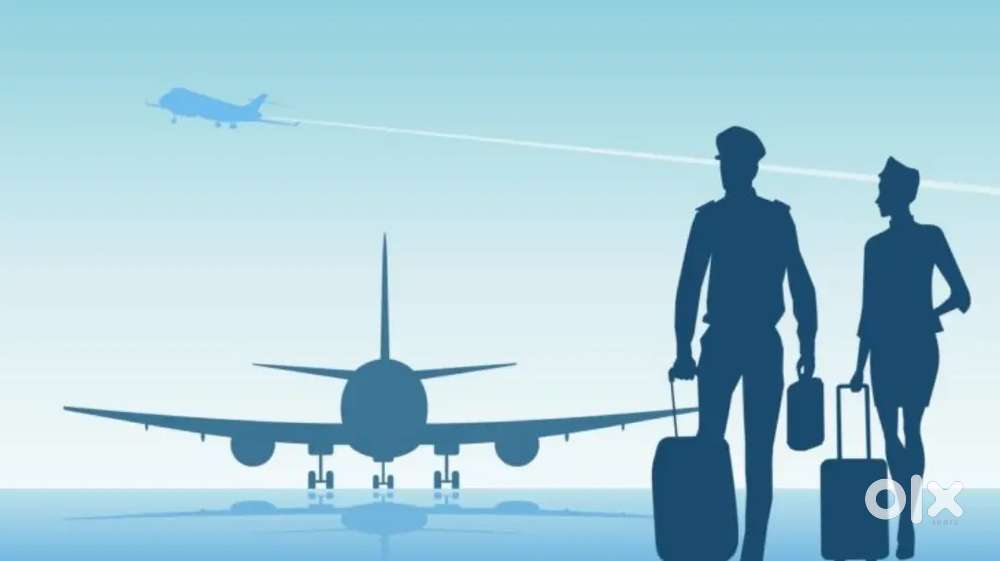 Vacancy open in indigo Airlines apply fast