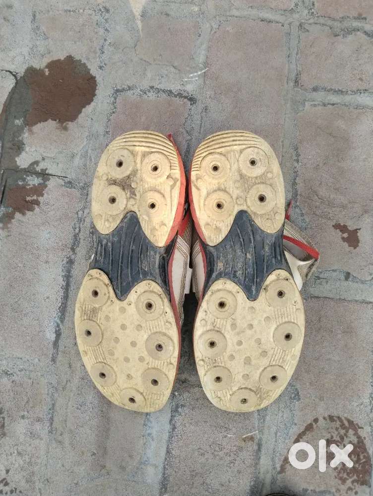 Sega cricket spikes size 8
