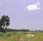 2 acers of Agriculture Land for sale