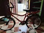 GANG Mountain Bike Bicycle