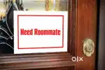 Need ODIA male software job holder roommate