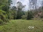 Urgent land for sale