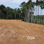 10 cents paddy view property at Arakkunnam