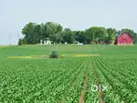 Forming land