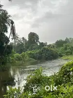 Land for sale situated at Aldona North Goa facing thr river,field hill
