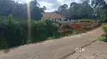 കോട്ടയം കാണക്കാരി ചമക്കാലയിൽ പഞ്ചായത്ത് ടാർ റോഡ് frontage 21cnt/130000