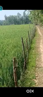 Agriculture land