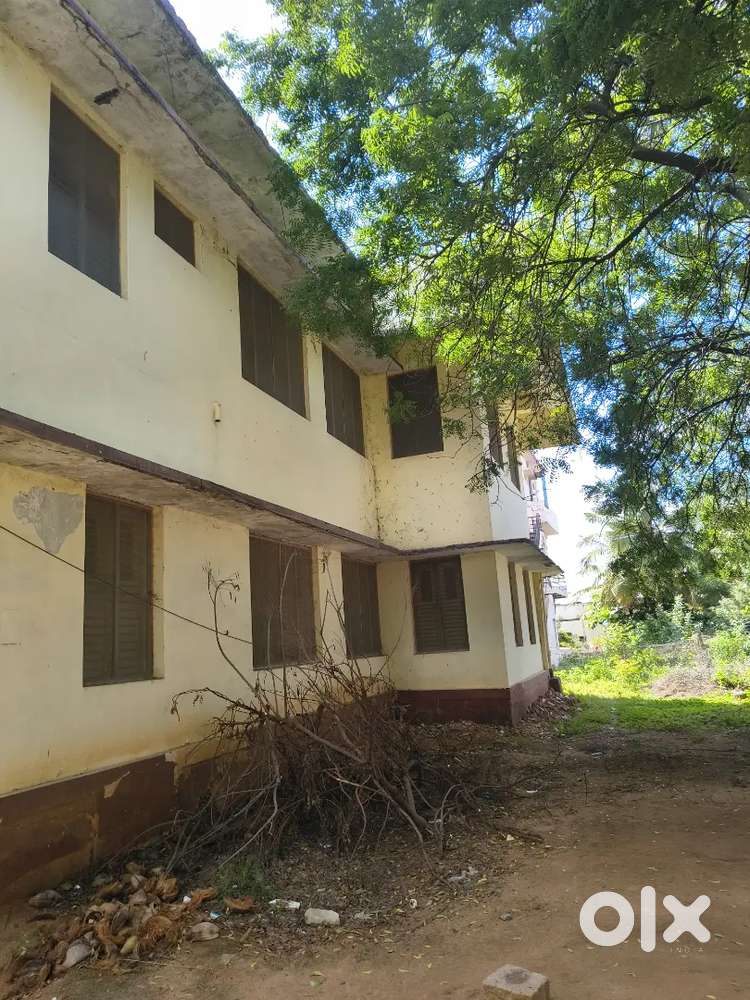 2 floor House surrounded by land