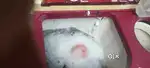T Series Washing Machine