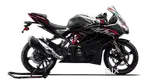 Apache RR 310 With Two Colours Options