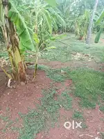 7.5 cent plot for sale in Kottuvankonam Paravur Kollam