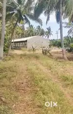 Poultry farm and farm land