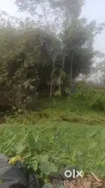 Buy Farmland Near South Kolkata with 100% Ownership and build your own
