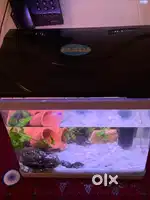 Aquarium imported quality