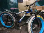 Fat bicycle