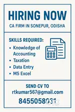 Accountant for CA FIRM
