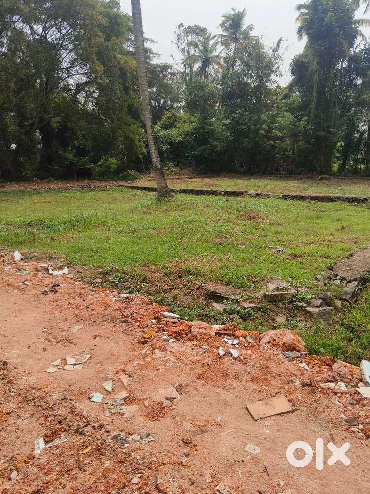 Residential plot 12.5 Cent for SALE