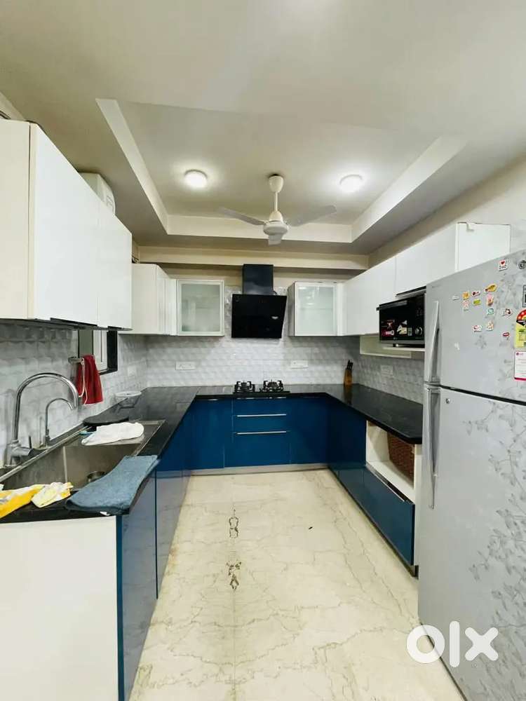 Luxurious 3bhk duplex flat with own roof rights in Noida Ext Sector 1