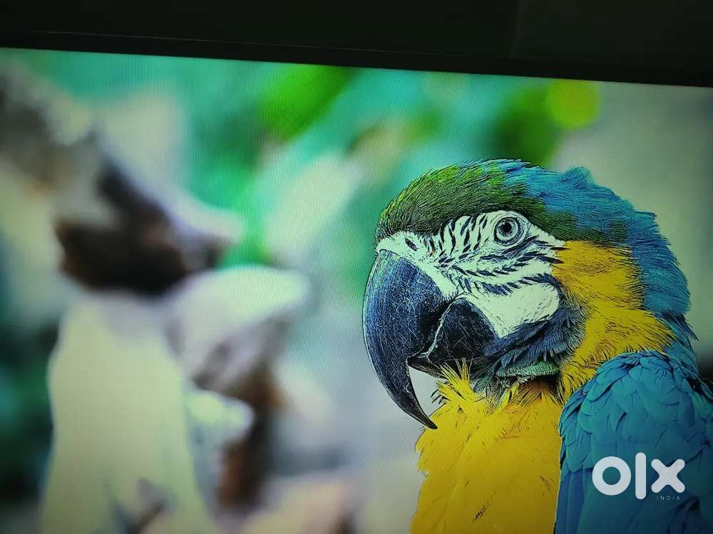 Sumsang orginal tv 43 inches best quality