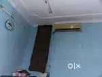 Room mate rent
