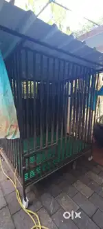 Dog Cage for slae