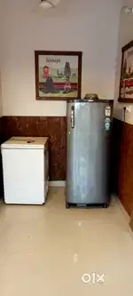 Fridge and Deep freezer