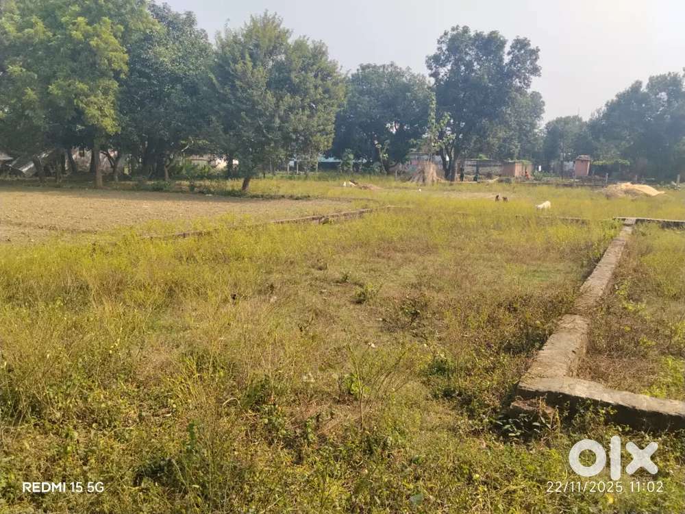 urgent sell this proparti