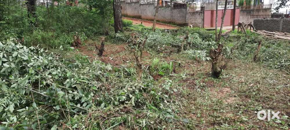 Jaka ban die ha nongrah