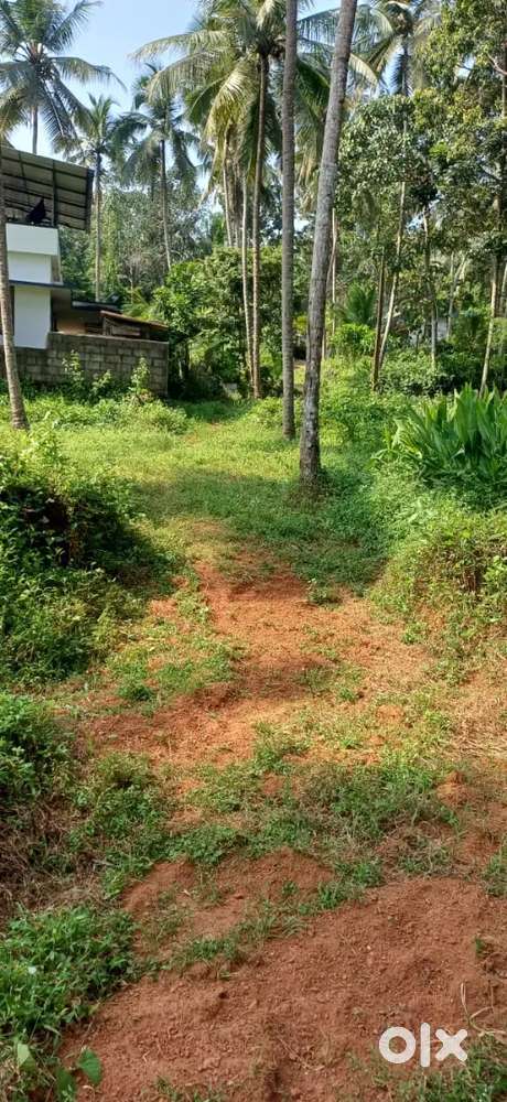 HOUSE PLOT FOR SALE IN KOZHIKODE