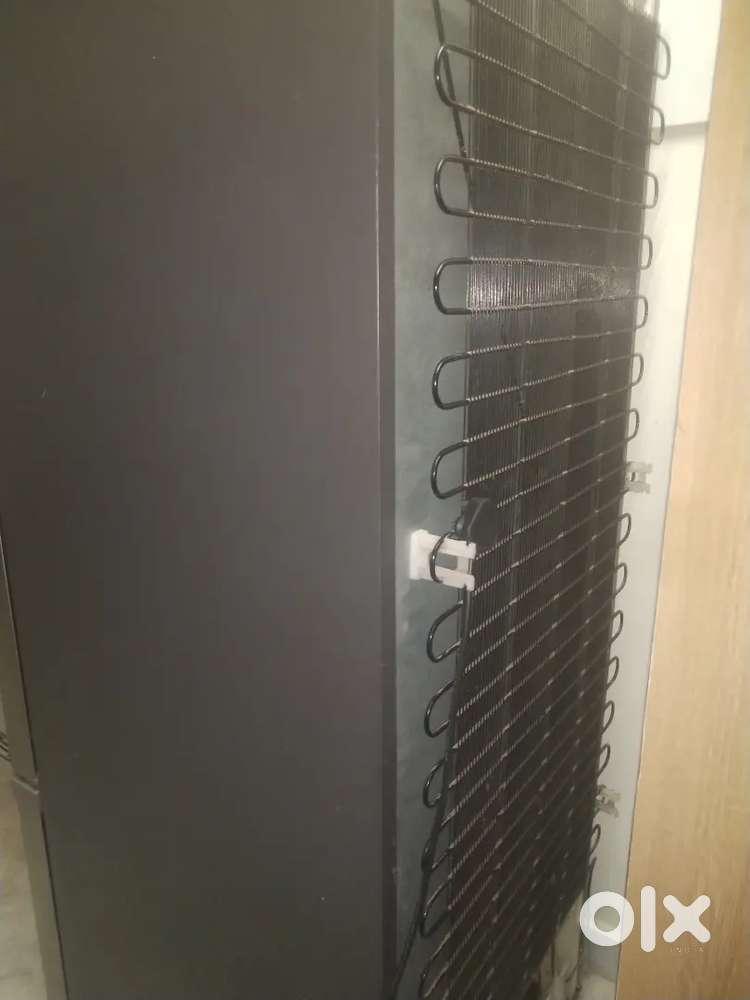 2021 Model Double Door Fridge
