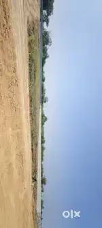 Plot for sale at narayanakhed 303s..yards 3laks only