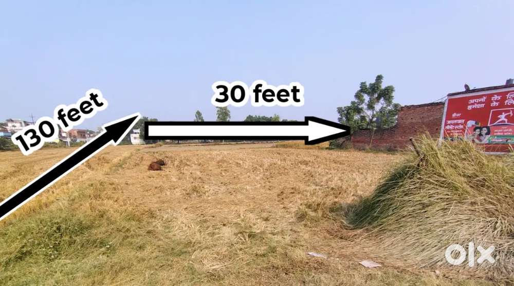 Near by Jigna chauraha basti