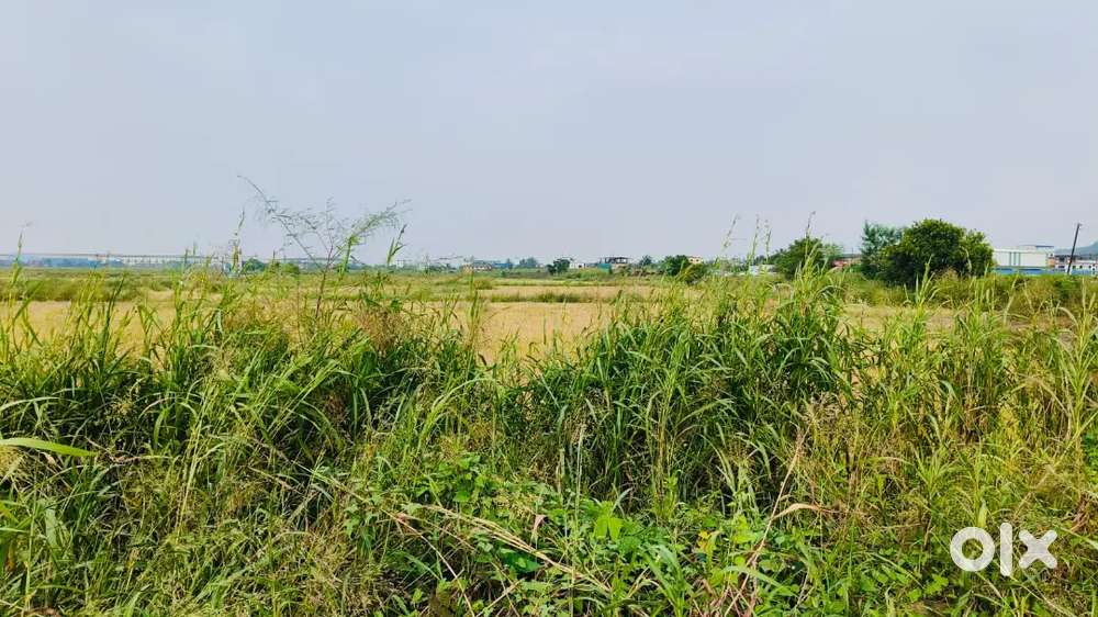 “Secure, Appreciating, and Timeless — Invest in Premium Open Plots.”