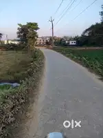 Sale for land at jorhat town mouza