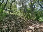 12 Kanal land for sale in Chauntra