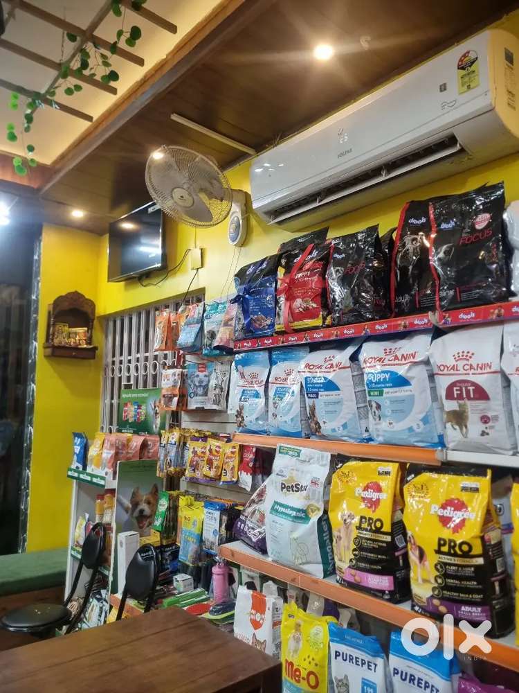 Store keeper and groomer