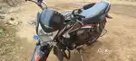 Honda shine