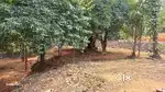 എറണാകുളം കിഴക്കംമ്പലത്ത് 10 cent